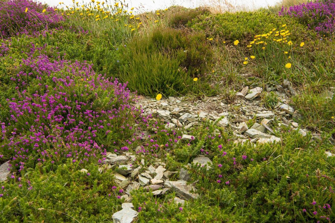 ClynacartanRing Of Kerry - Einmaliger Blick Auf Skelligs公寓 外观 照片
